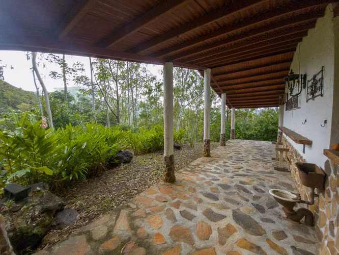 32 Hectáreas reforestadas con Cascada y casas en el bosque