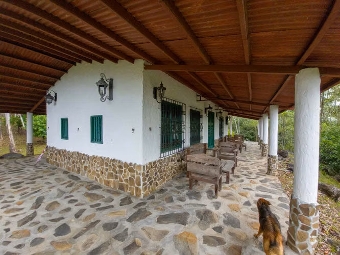 32 Hectáreas reforestadas con Cascada y casas en el bosque