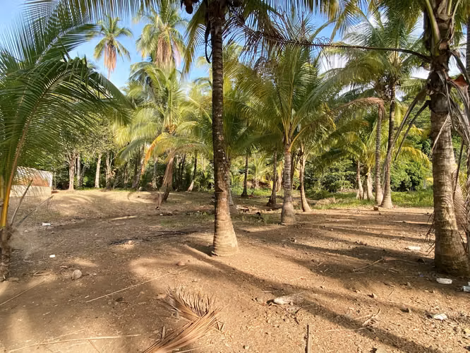 Venta Terreno Bahia Honda, Pixvae, 23has.
