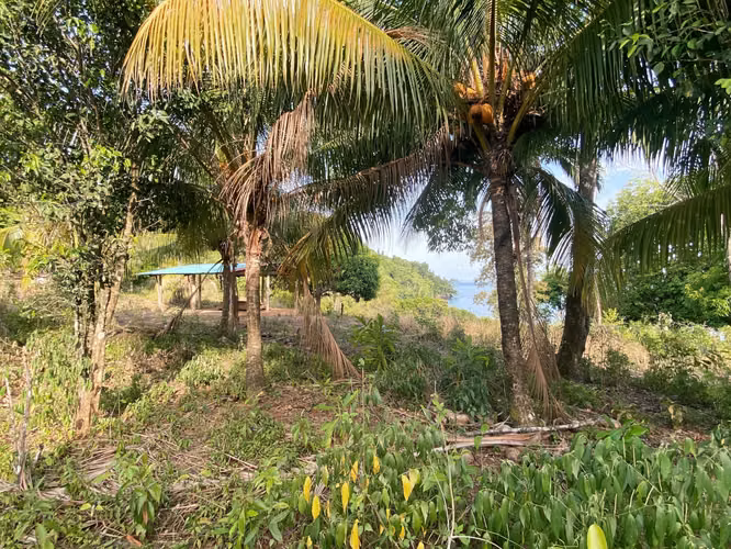 Venta Terreno Bahia Honda, Pixvae, 23has.