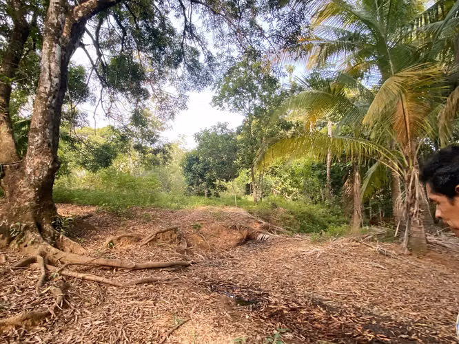 Venta Terreno Bahia Honda, Pixvae, 23has.