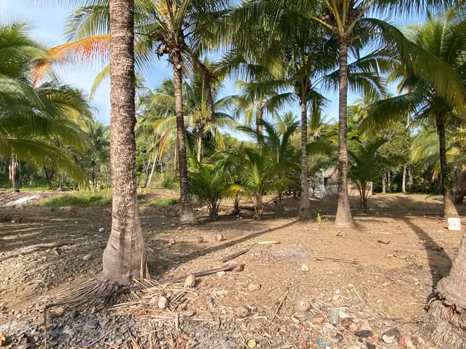 Venta Terreno Bahia Honda, Pixvae, 23has.
