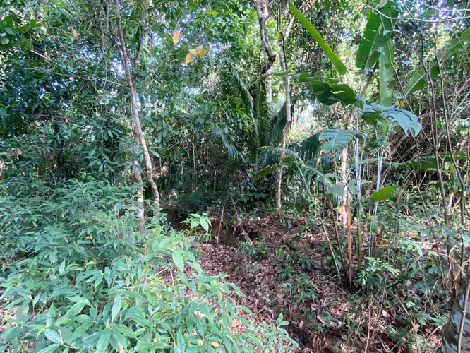 Venta Terreno Bahia Honda, Pixvae, 23has.