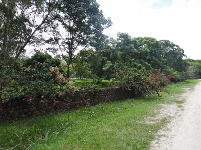 Se vende Finca en Las Lagartijas, San Carlos