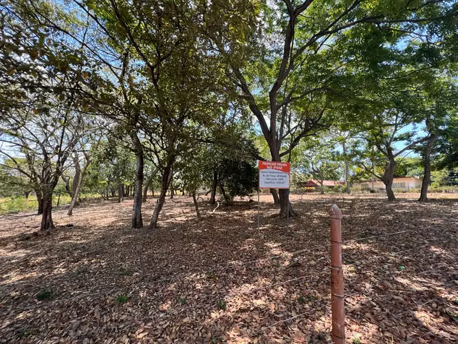 Chame – Gorgona - Imagen 2
