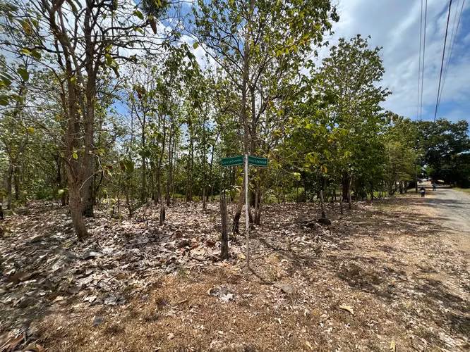 Nueva Gorgona, Carretera Panamericana