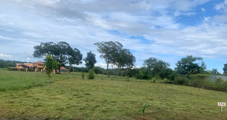 Se venden terrenos en Chame.