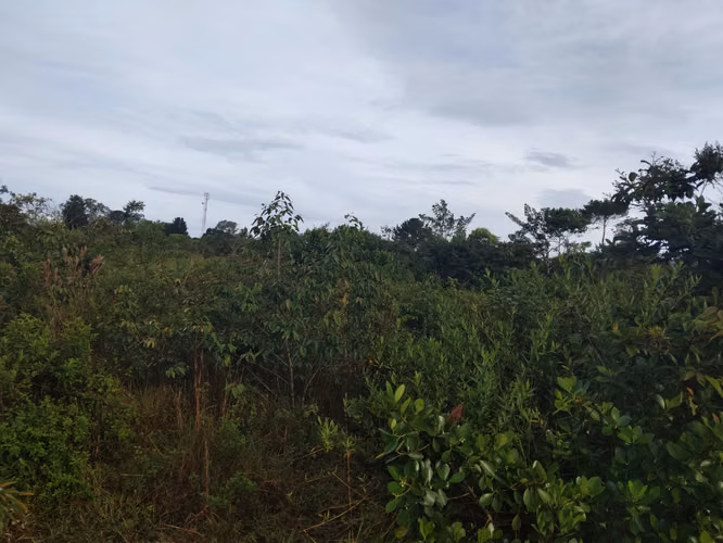 SE VENDE TERRENO EN CHIRIQUI, DOLEGA, POTRERILLO ABAJO.