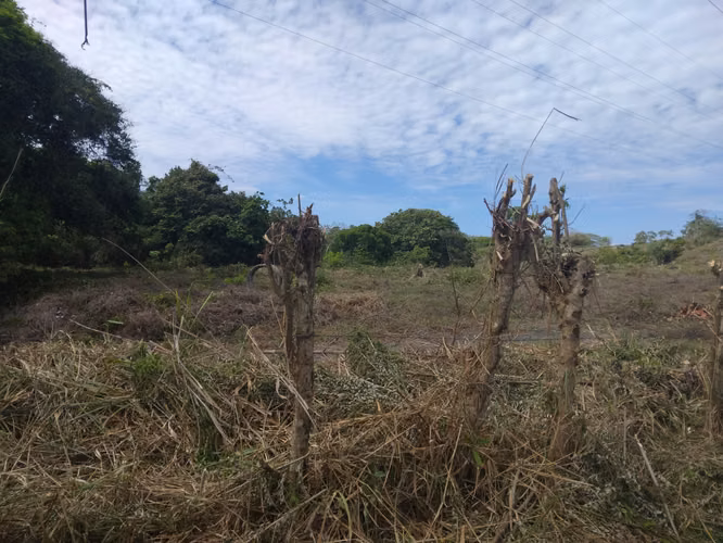 SE VENDE TERRENO.