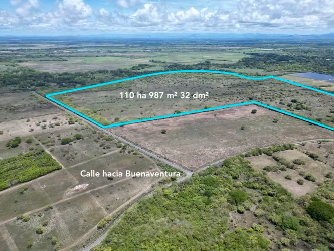 TERRENO FINCA 110 HECTÁREAS RÍO HATO PARA DESARROLLO EN VENTA