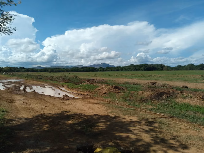 Venta de Finca en Coclé, Nata vía interamericana y Rio Grande, 81ha.
