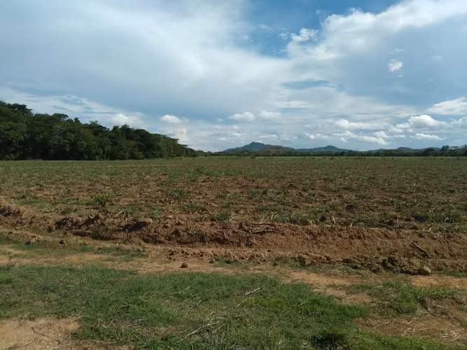 Venta de Finca en Coclé, Nata vía interamericana y Rio Grande, 81ha.
