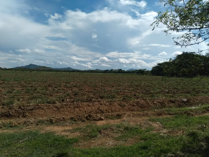 Venta de Finca en Coclé, Nata vía interamericana y Rio Grande, 81ha.