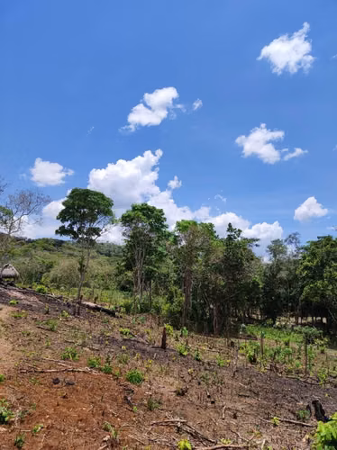 Venta de 2 hectareas en El Cacao de Capira - Imagen 5