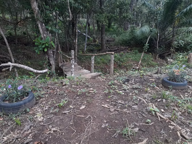 Venta de 2 hectareas en El Cacao de Capira - Imagen 11