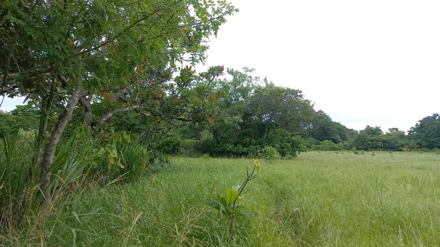 VENDO TERRENO RIO GRANDE DETRAS DE LA ESTACION DELTA $180K - Imagen 5