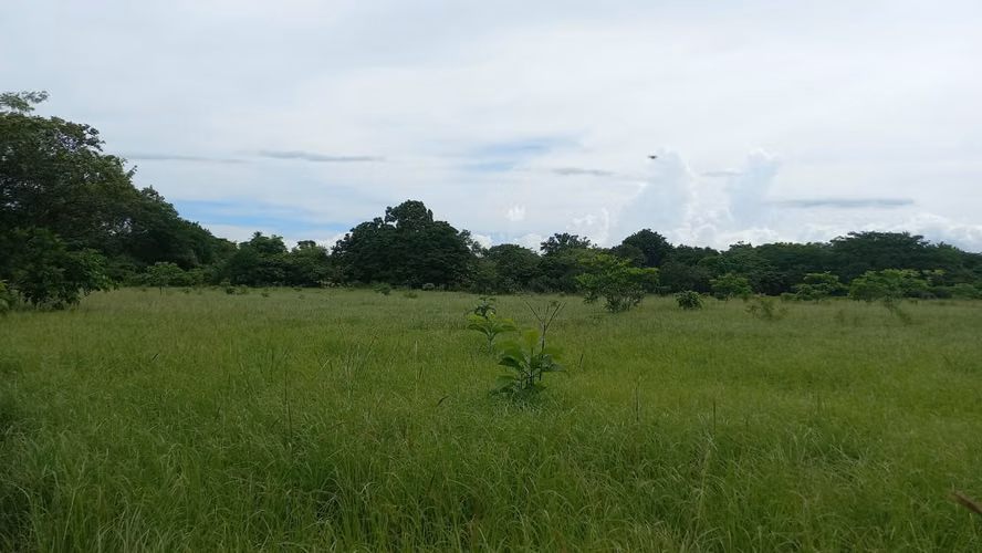 VENDO TERRENO RIO GRANDE DETRAS DE LA ESTACION DELTA $180K - Imagen 4