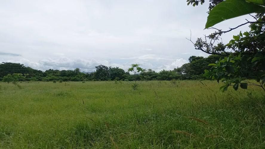 VENDO TERRENO RIO GRANDE DETRAS DE LA ESTACION DELTA $180K - Imagen 3