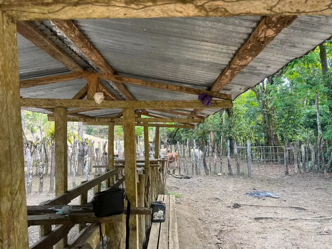 Finca en Chiriqui, Baru, 184.5 ha en San Bartolo Límite