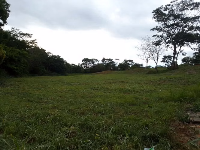 Terreno para alquilar en Nuevo Emperador, Arraiján
