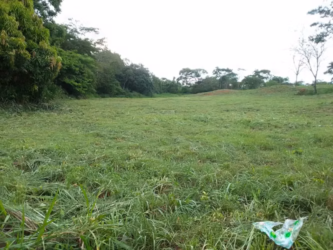 Terreno para alquilar en Nuevo Emperador, Arraiján