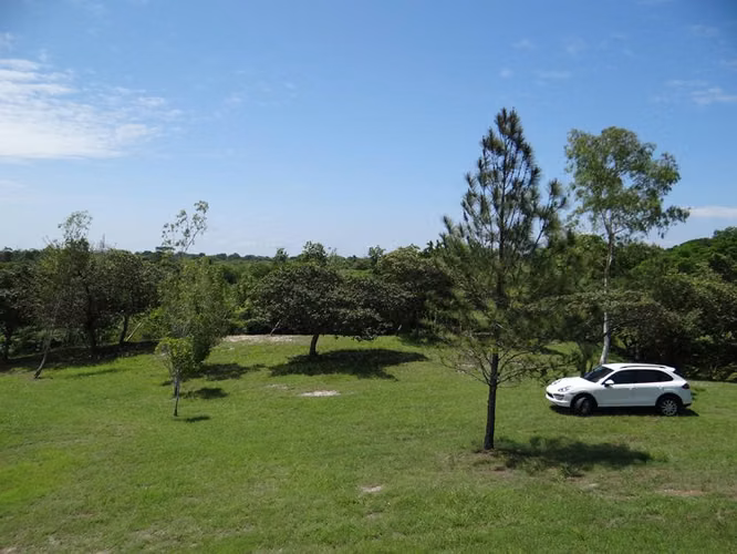 TERRENO FINCA LAS LAGARTIJAS SAN CARLOS EN VENTA - Imagen 6