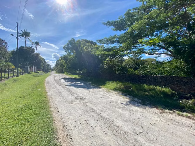 TERRENO FINCA LAS LAGARTIJAS SAN CARLOS EN VENTA - Imagen 13