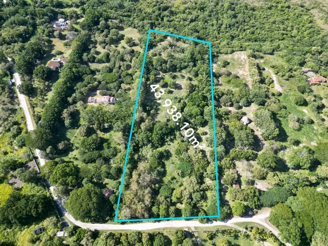 TERRENO FINCA LAS LAGARTIJAS SAN CARLOS EN VENTA