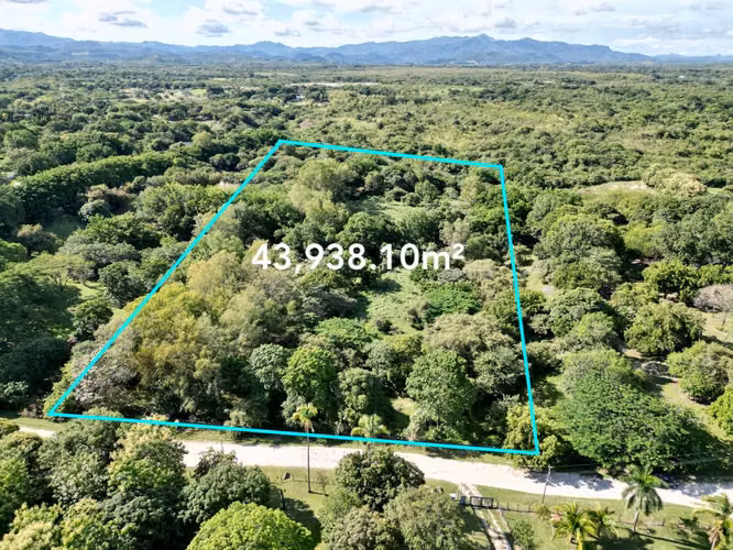 TERRENO FINCA LAS LAGARTIJAS SAN CARLOS EN VENTA