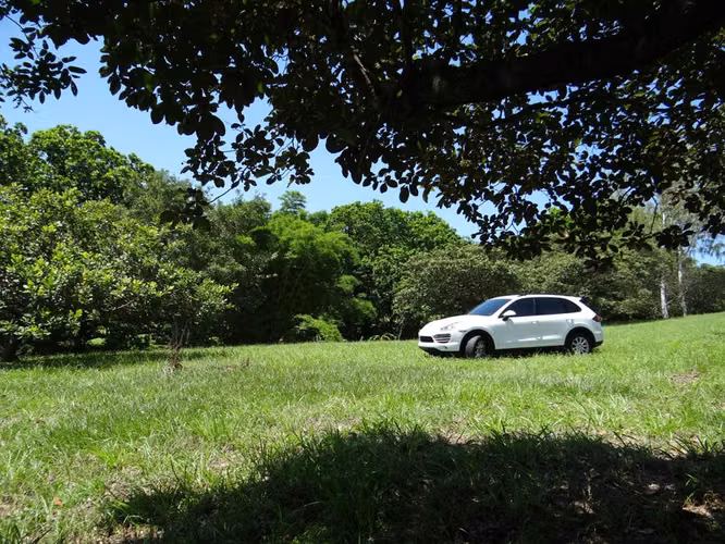 TERRENO FINCA LAS LAGARTIJAS SAN CARLOS EN VENTA
