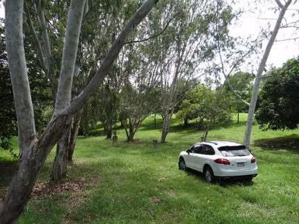 TERRENO FINCA LAS LAGARTIJAS SAN CARLOS EN VENTA