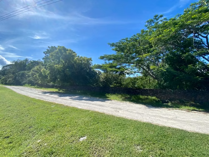 TERRENO FINCA LAS LAGARTIJAS SAN CARLOS EN VENTA