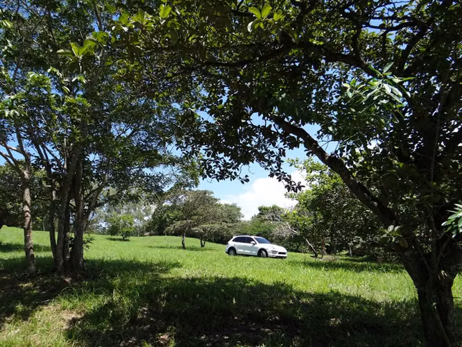 TERRENO FINCA LAS LAGARTIJAS SAN CARLOS EN VENTA