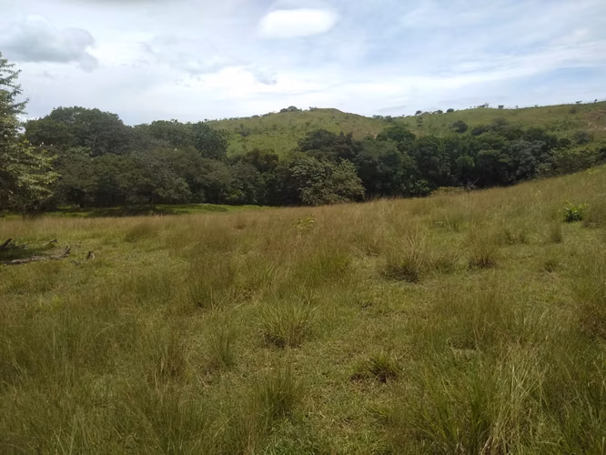 Venta de Finca en Coclé, Natá El Cortezo, 103 hectáreas