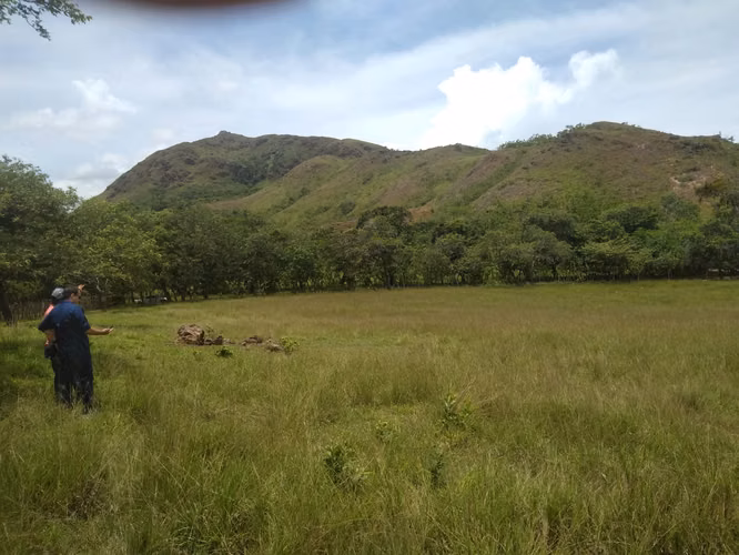 Venta de Finca en Coclé, Natá El Cortezo, 103 hectáreas