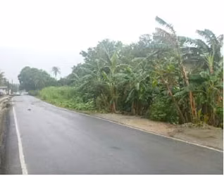 TERRENO DE 30 HECTAREAS  5,851.7 m2 , EN CATIVA, COLON