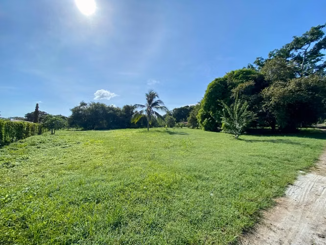 TERRENO EN GORGONA EN VENTA 3