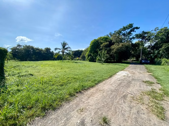 TERRENO EN GORGONA EN VENTA 3