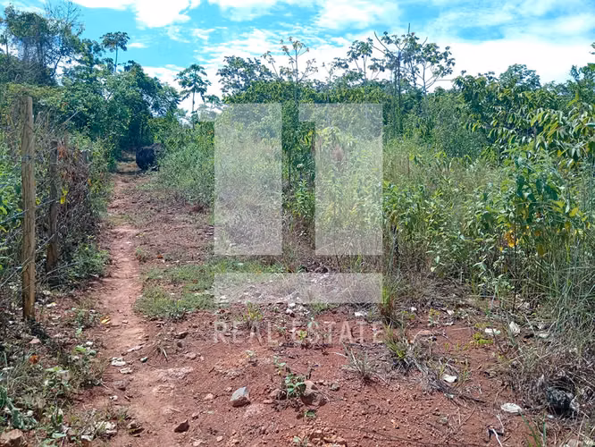Se vende Terreno en Chorrera de 4,6 Hectareas - Imagen 6