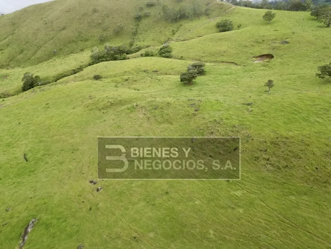 Finca en Chiriqui, Boquete, 120.3 hectáreas en Jaramillo Centro