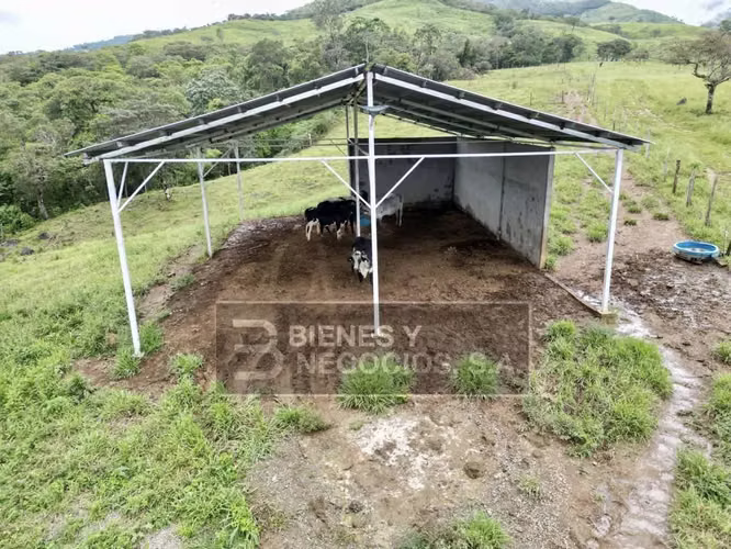 Finca en Chiriqui, Boquete, 120.3 hectáreas en Jaramillo Centro