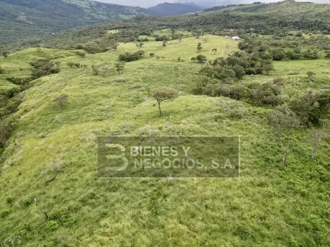 Finca en Chiriqui, Boquete, 120.3 hectáreas en Jaramillo Centro