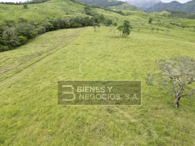 Finca en Chiriqui, Boquete, 120.3 hectáreas en Jaramillo Centro