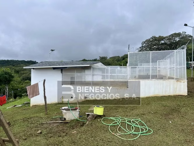 Finca en Chiriqui, Boquete, 120.3 hectáreas en Jaramillo Centro