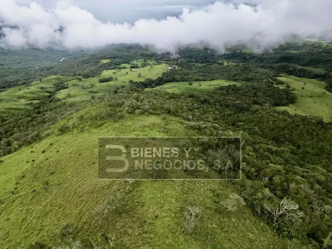 Finca en Chiriqui, Boquete, 120.3 hectáreas en Jaramillo Centro