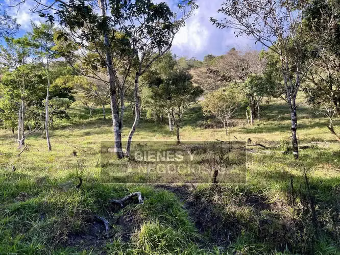 Finca en Chiriqui, Boquete, 120.3 hectáreas en Jaramillo Centro