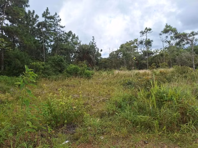 Vendo lote,en LOS ALTO DE CERRA AZUL