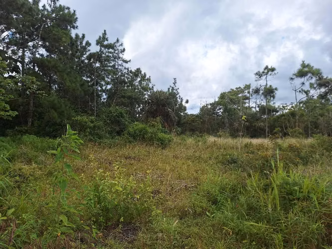Vendo lote,en LOS ALTO DE CERRA AZUL