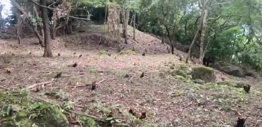 Oportunidad! Se Vende Terreno de Esquina en Altos del Maria