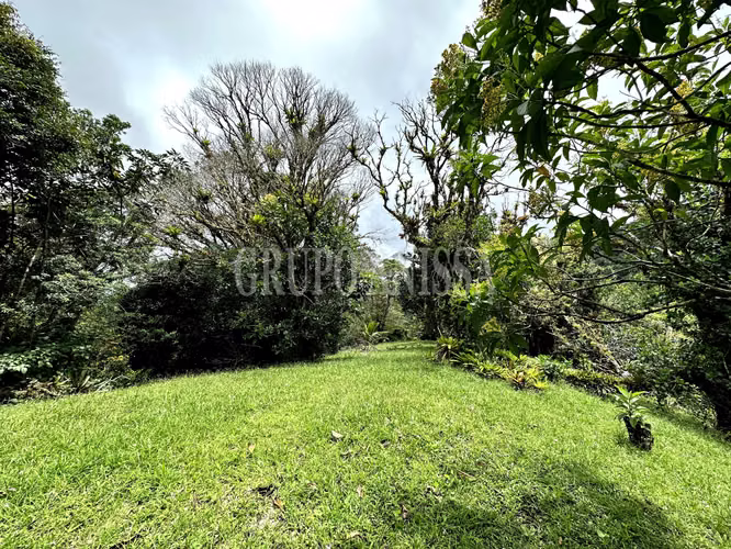 Se Vende Hermoso Terreno en Zona Alta de Altos del Maria - Imagen 3